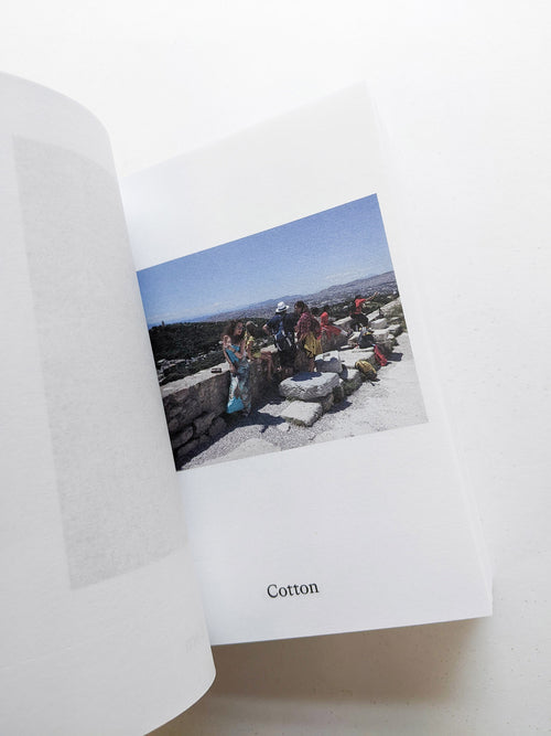 Dictionary / Anne Geene & Arjan de Nooy