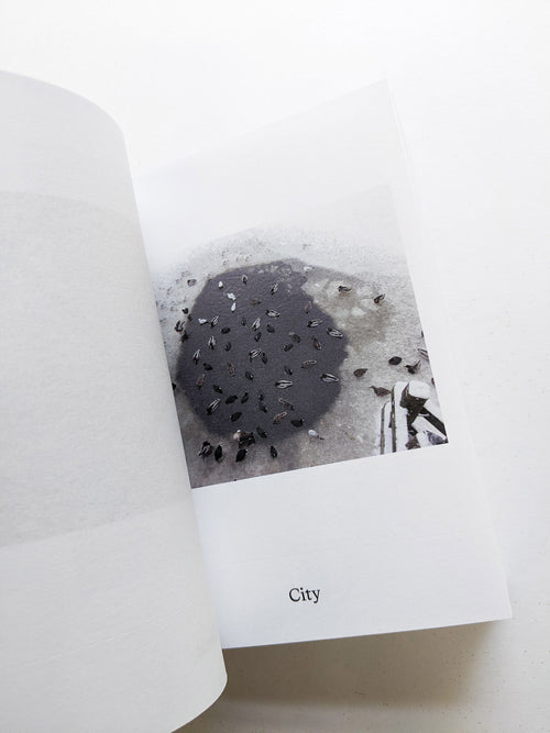 Dictionary / Anne Geene & Arjan de Nooy