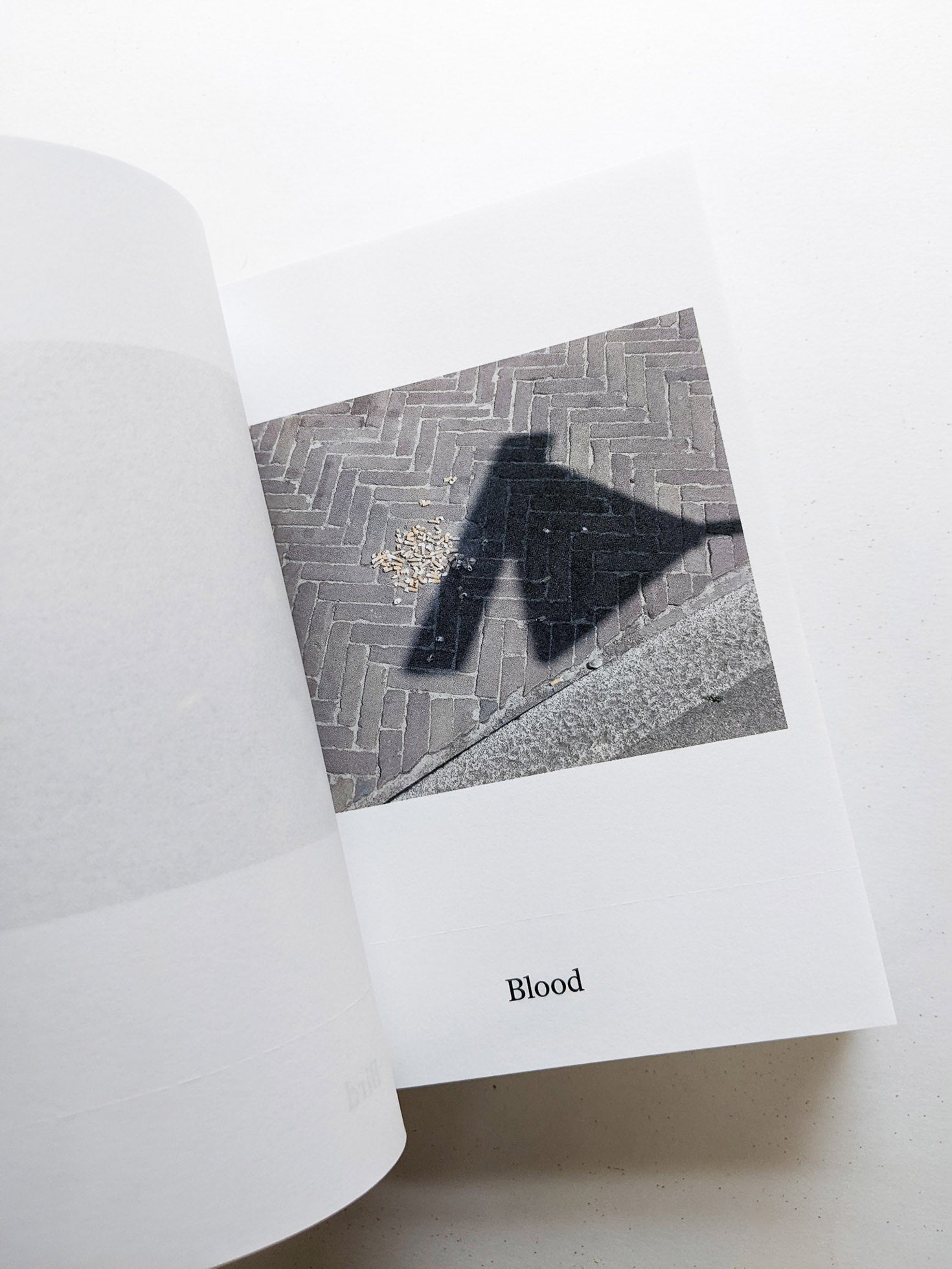 Dictionary / Anne Geene & Arjan de Nooy