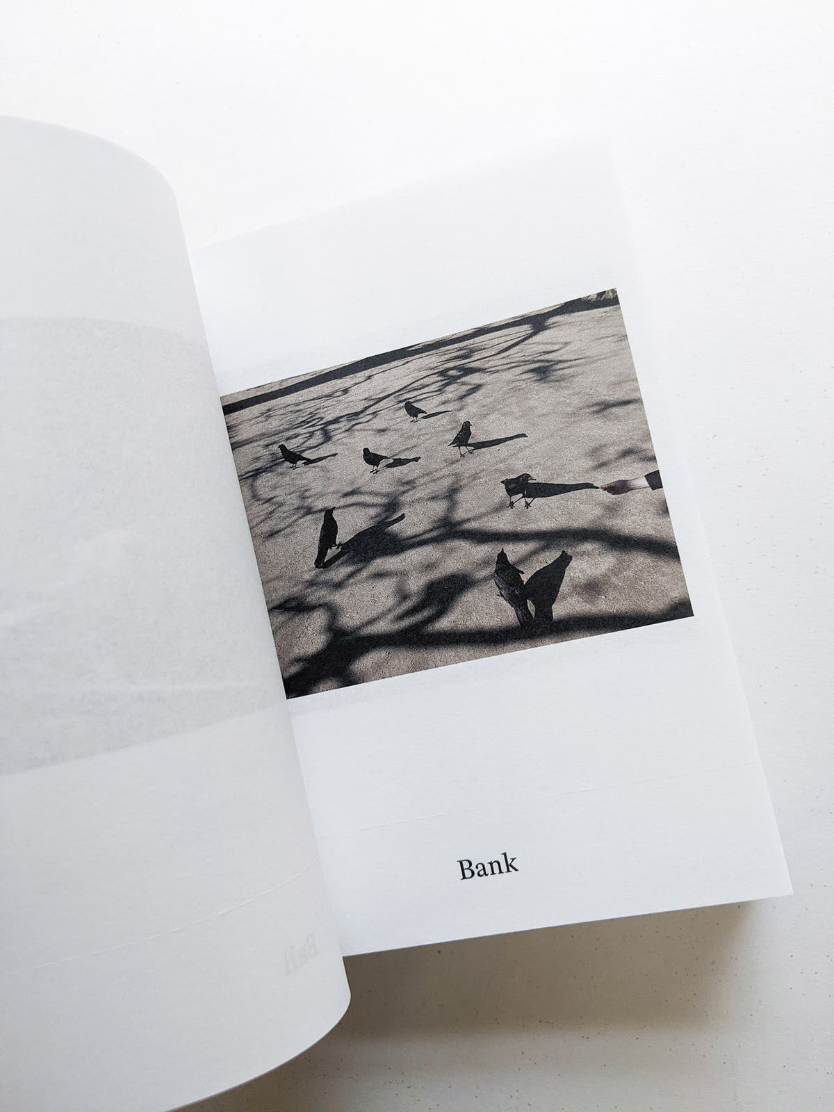 Dictionary / Anne Geene & Arjan de Nooy