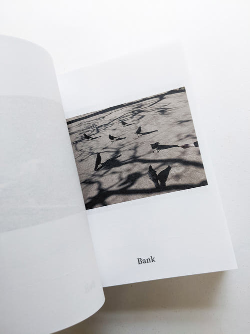 Dictionary / Anne Geene & Arjan de Nooy