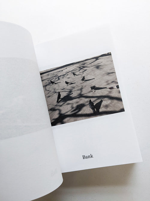 Dictionary / Anne Geene & Arjan de Nooy