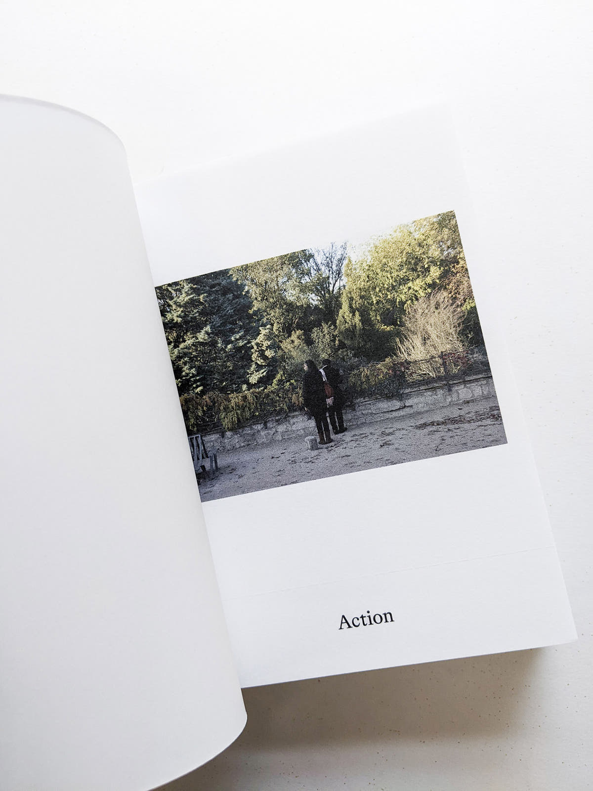 Dictionary / Anne Geene & Arjan de Nooy