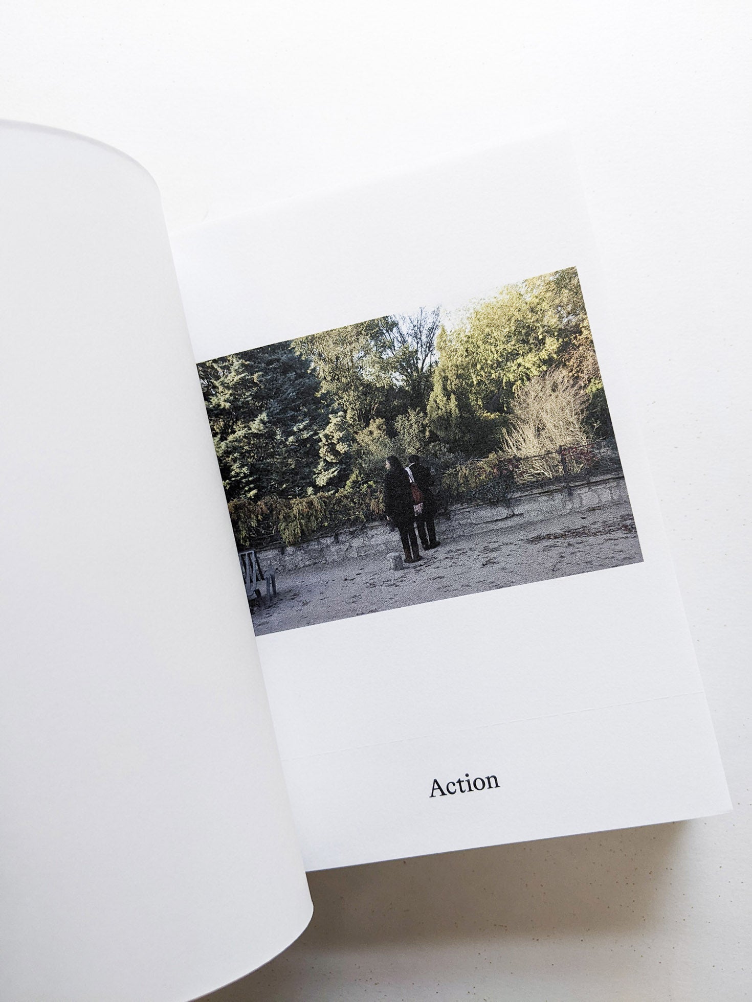 Dictionary / Anne Geene & Arjan de Nooy