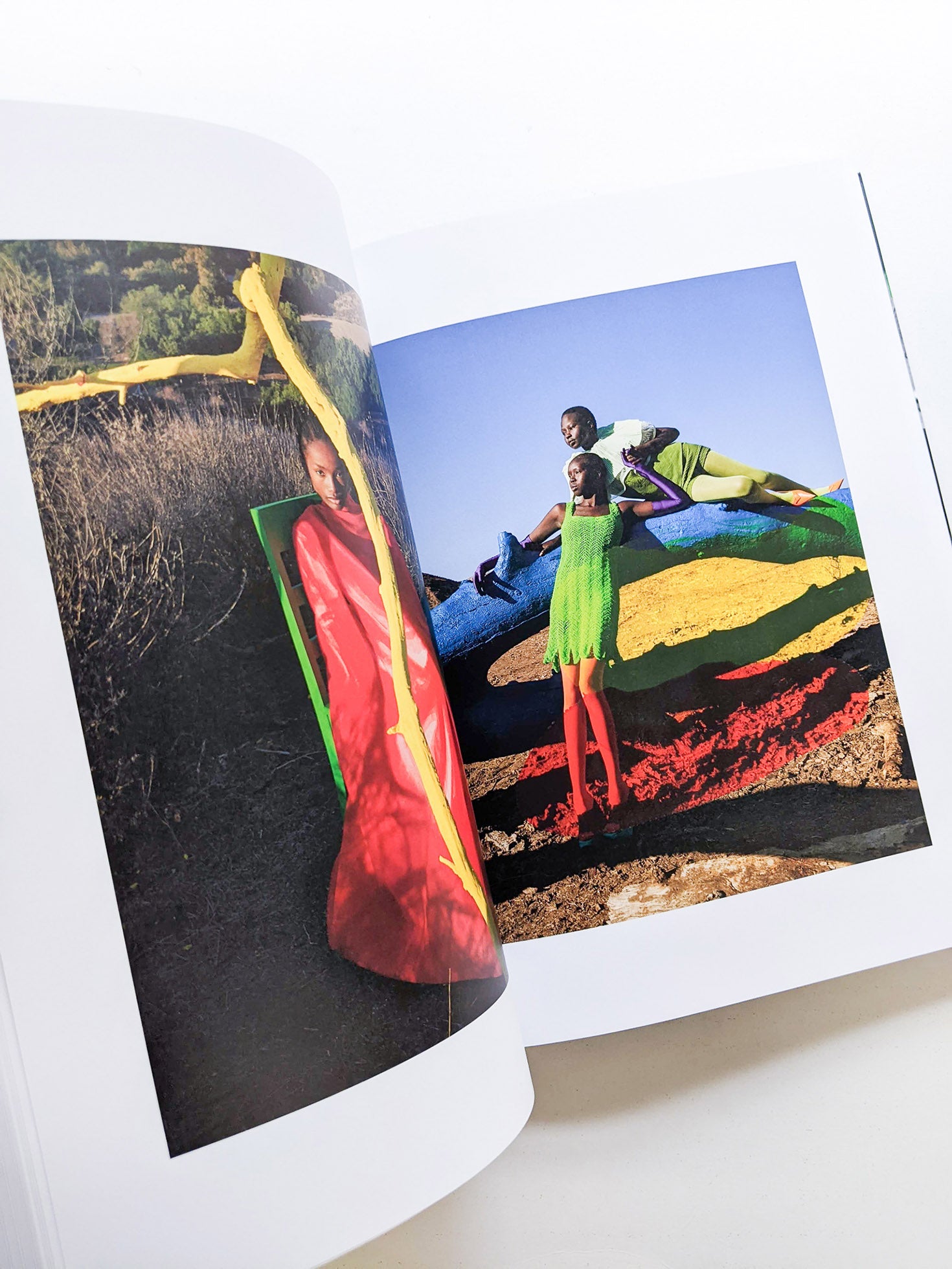 PHOSPHOR / Viviane Sassen - 本 屋 青 旗 Ao-Hata Bookstore