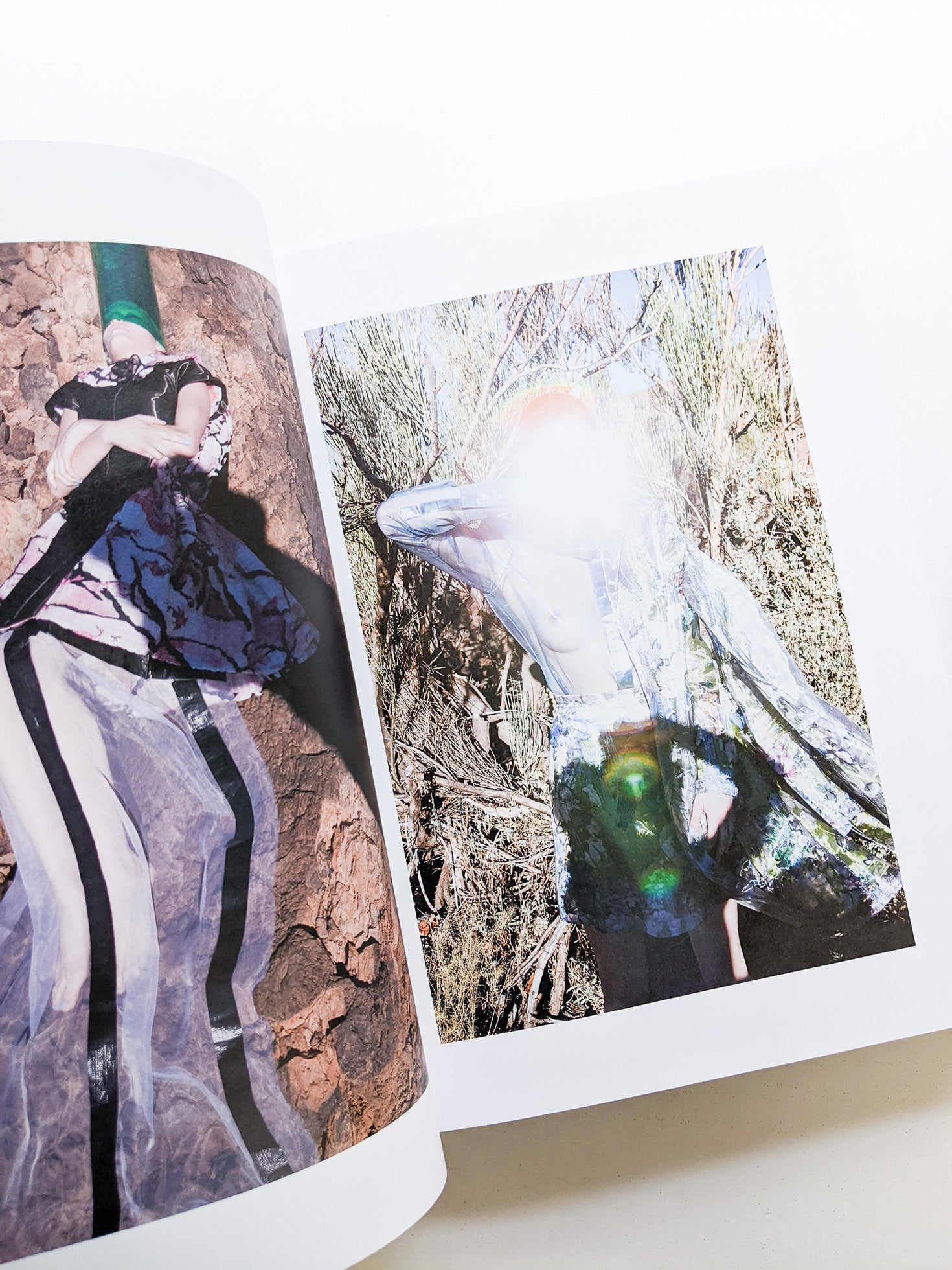 PHOSPHOR / Viviane Sassen - 本屋青旗 Ao-Hata Bookstore