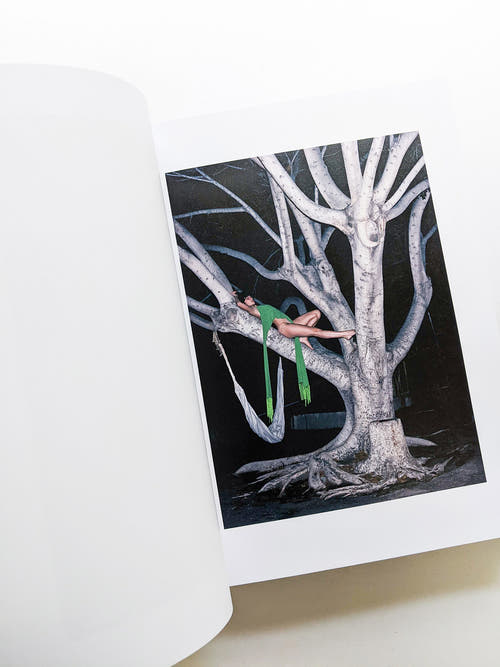PHOSPHOR / Viviane Sassen