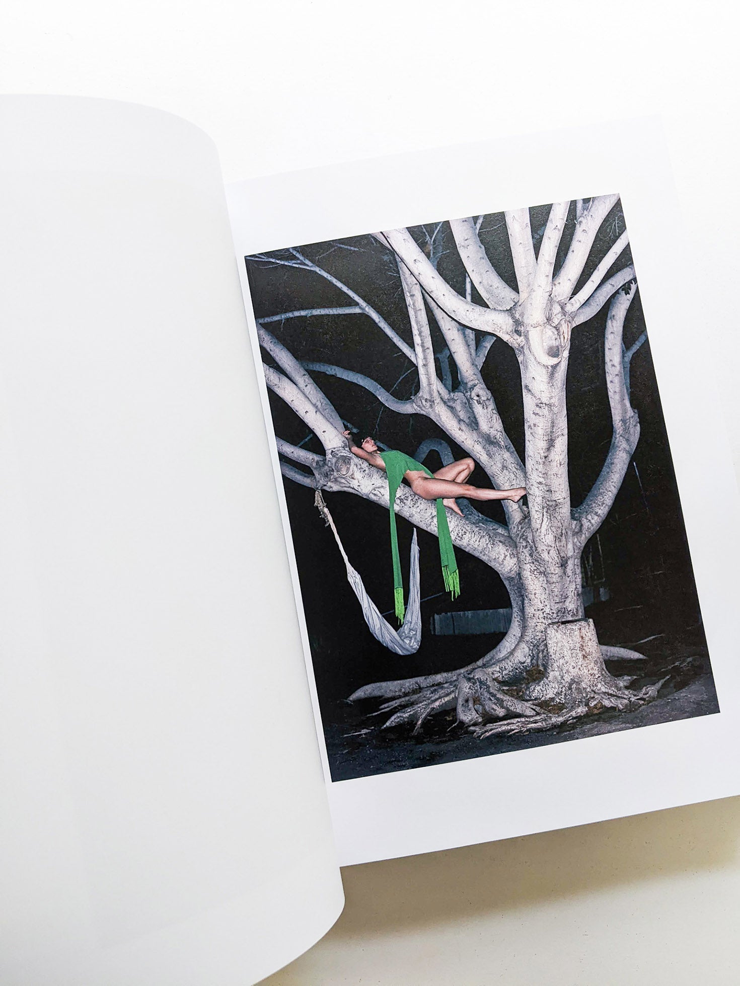 PHOSPHOR / Viviane Sassen