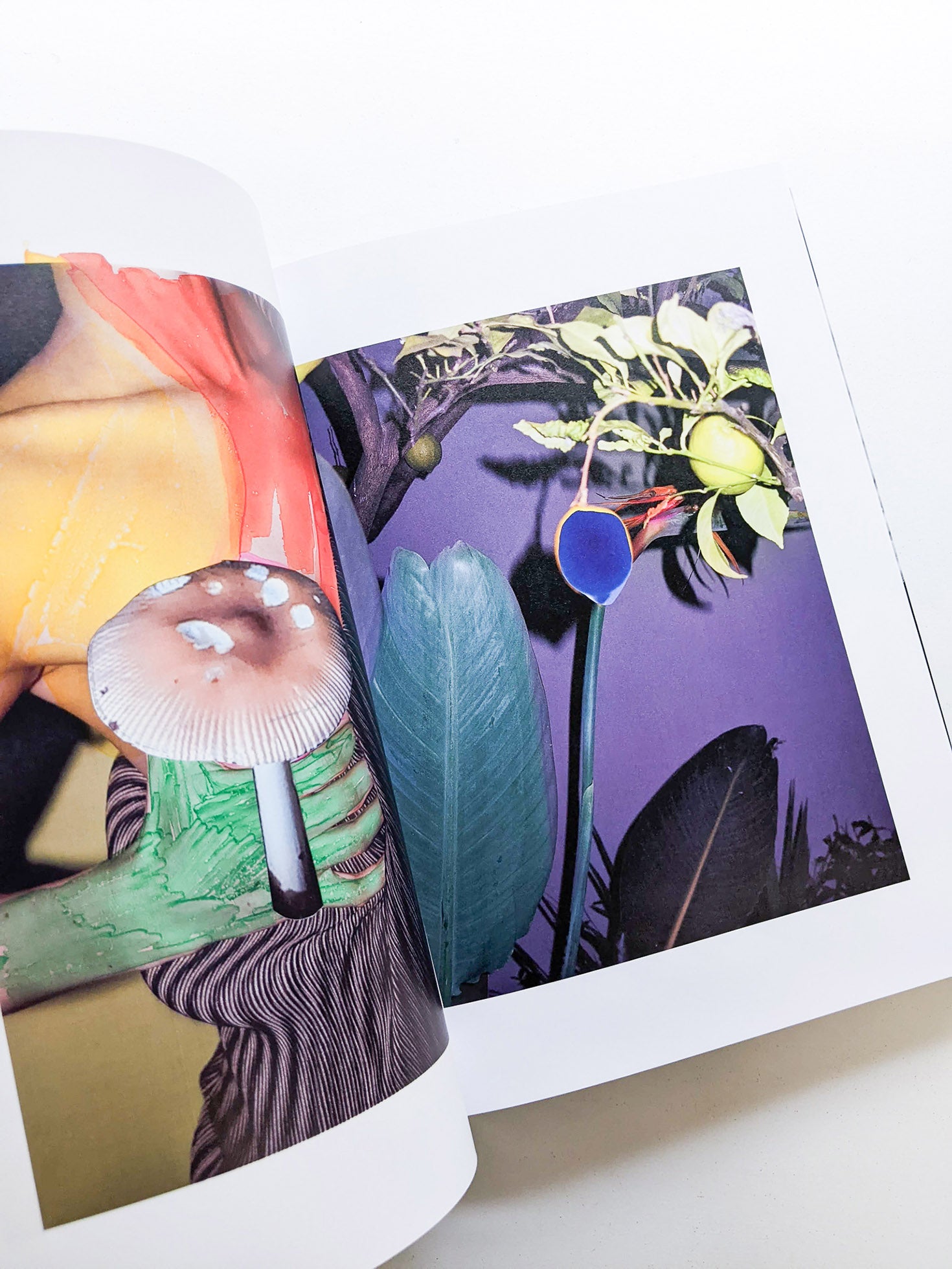 PHOSPHOR / Viviane Sassen