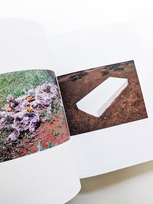 PHOSPHOR / Viviane Sassen