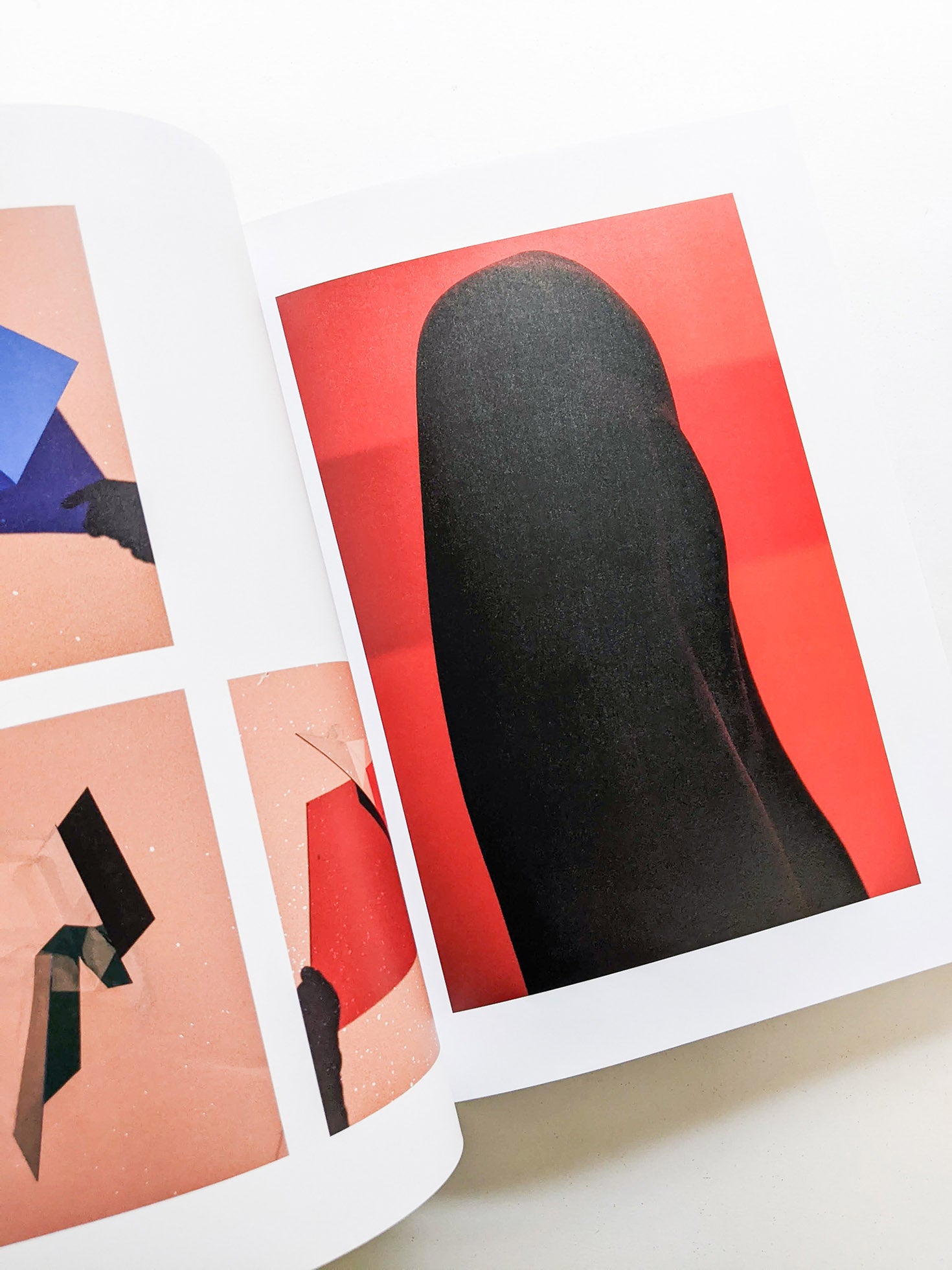 PHOSPHOR / Viviane Sassen