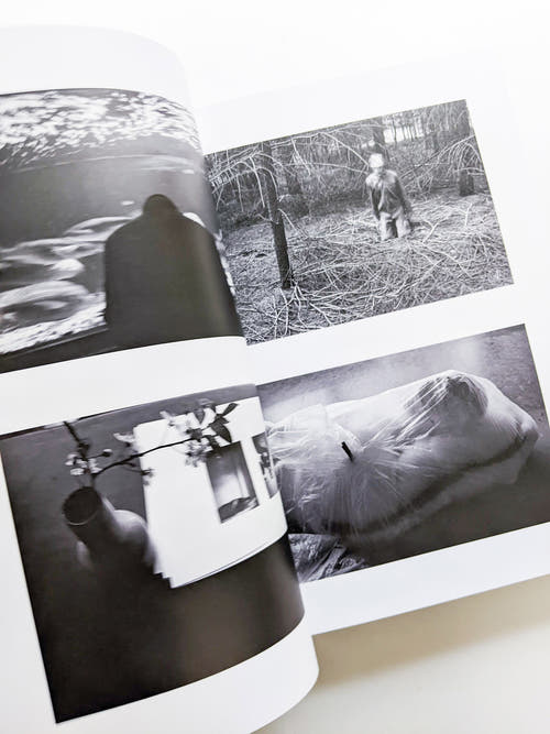 PHOSPHOR / Viviane Sassen