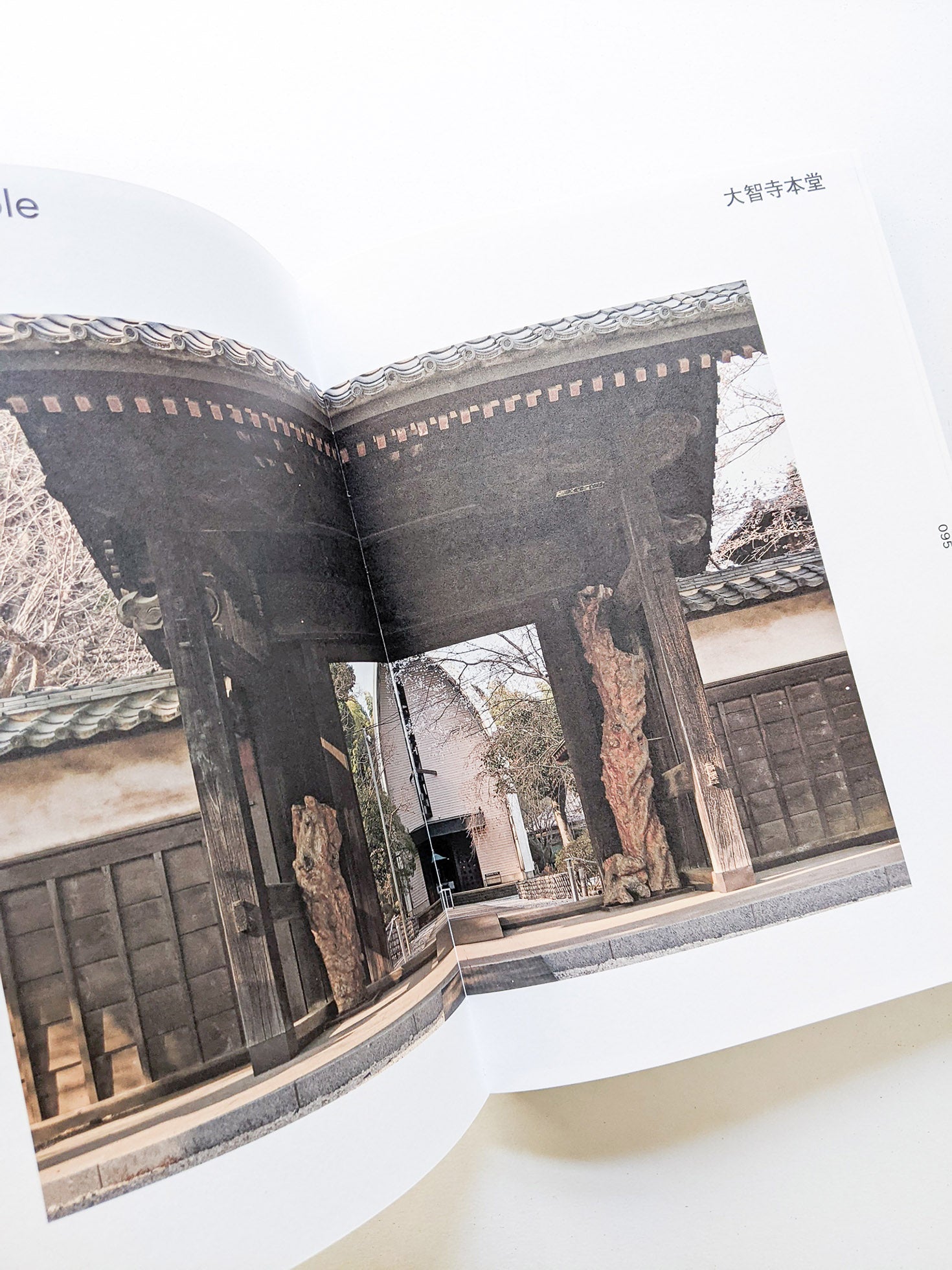 ex-dreams もうひとつのミッドセンチュリーアーキテクチャ