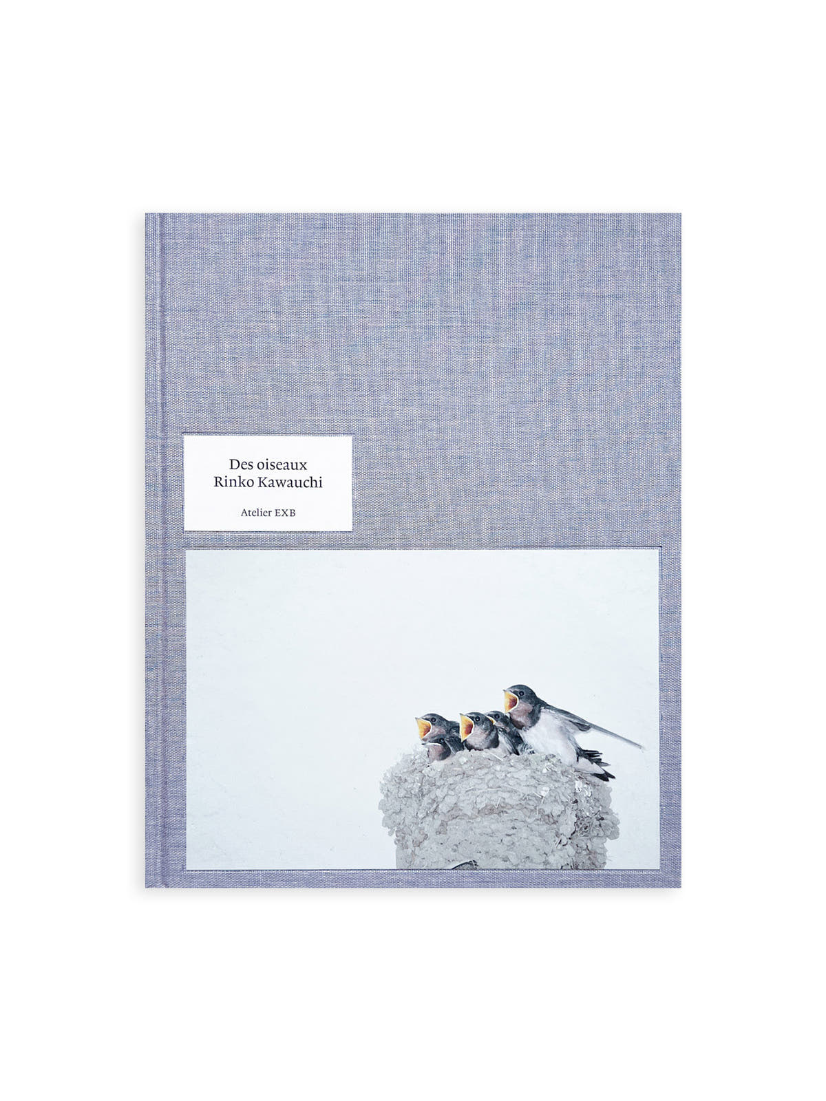 DES OISEAUX - Rinko Kawauchi