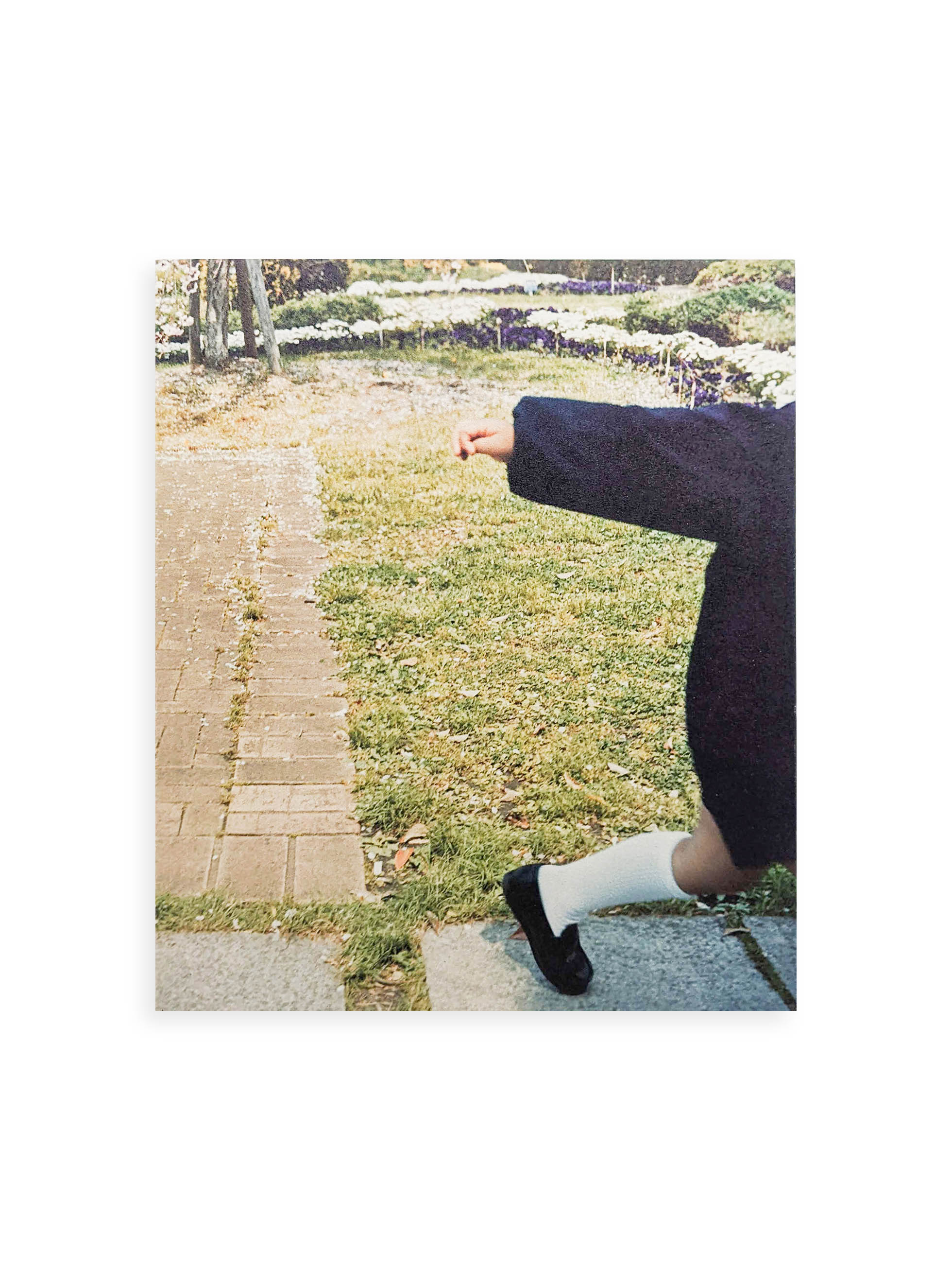 SMALL MYTHS / Mikiko Hara 原美樹子 ON READING Online Shop