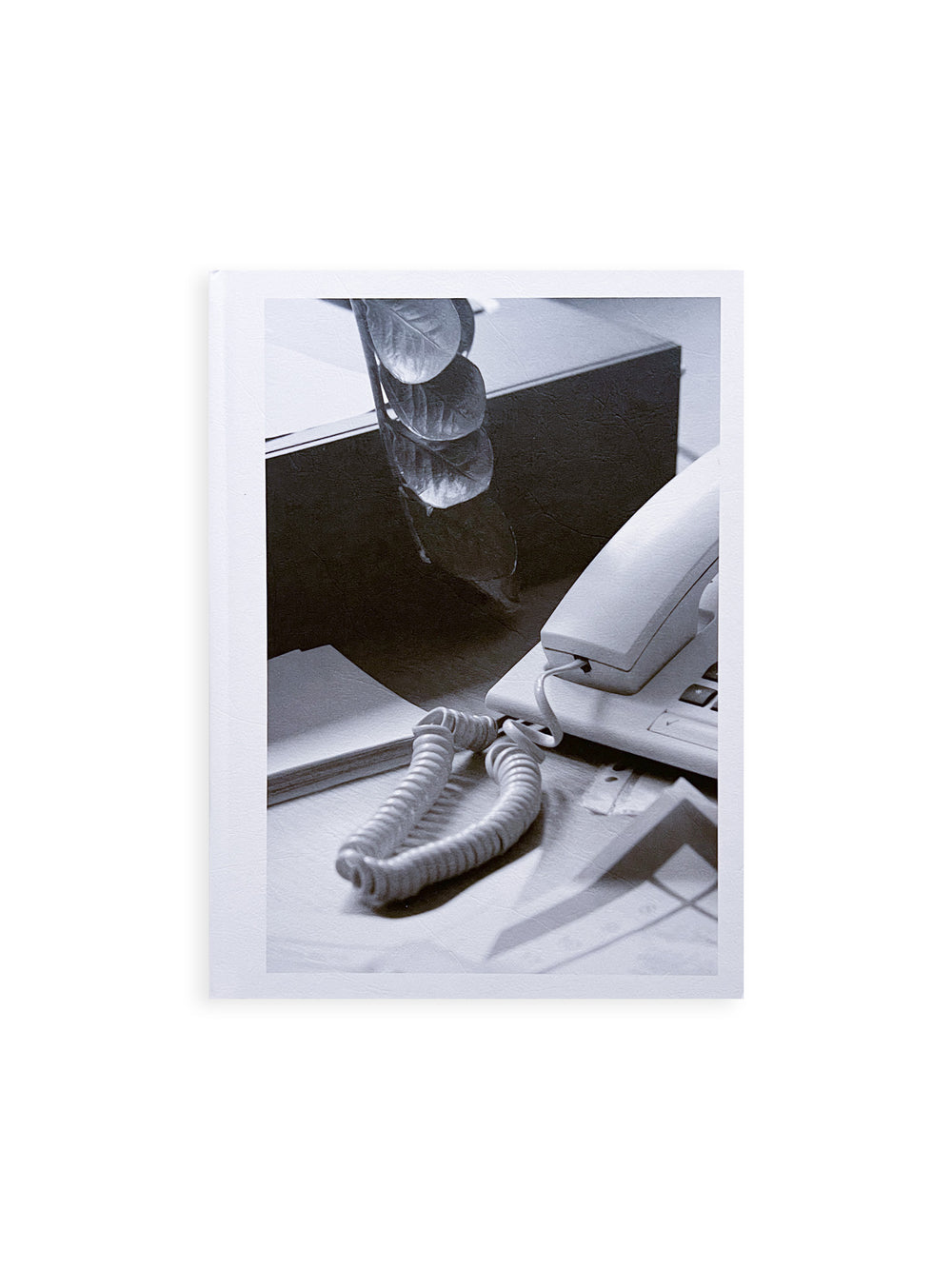 Büropflanze / Saskia Groneberg