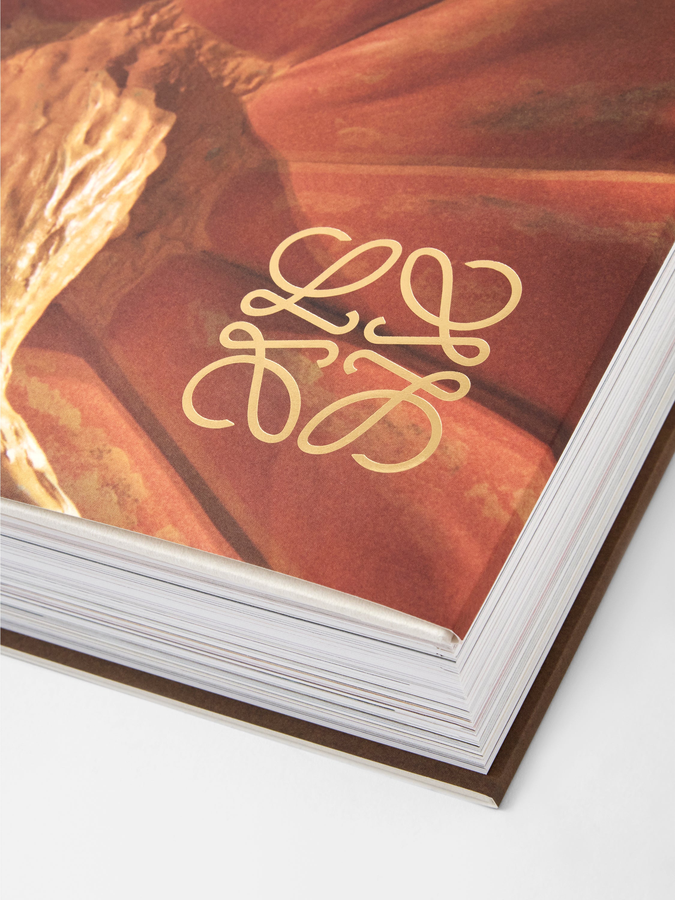 CRAFTED WORLD: JONATHAN ANDERSON'S LOEWE - 本屋青旗 Ao-Hata Bookstore
