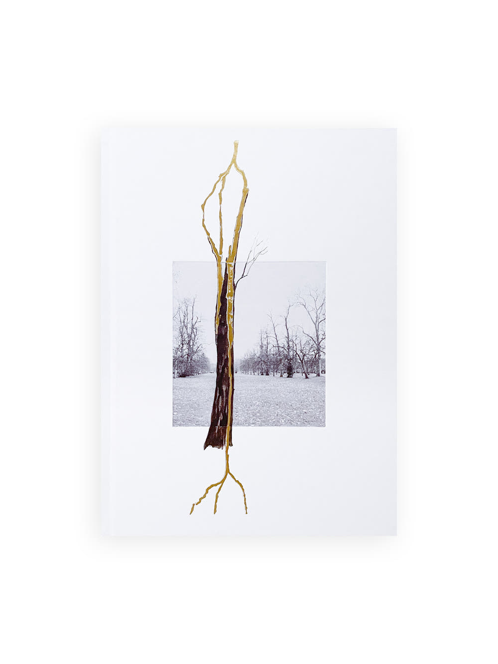THOUGHTS IN THE ROOTS / Giuseppe Penone