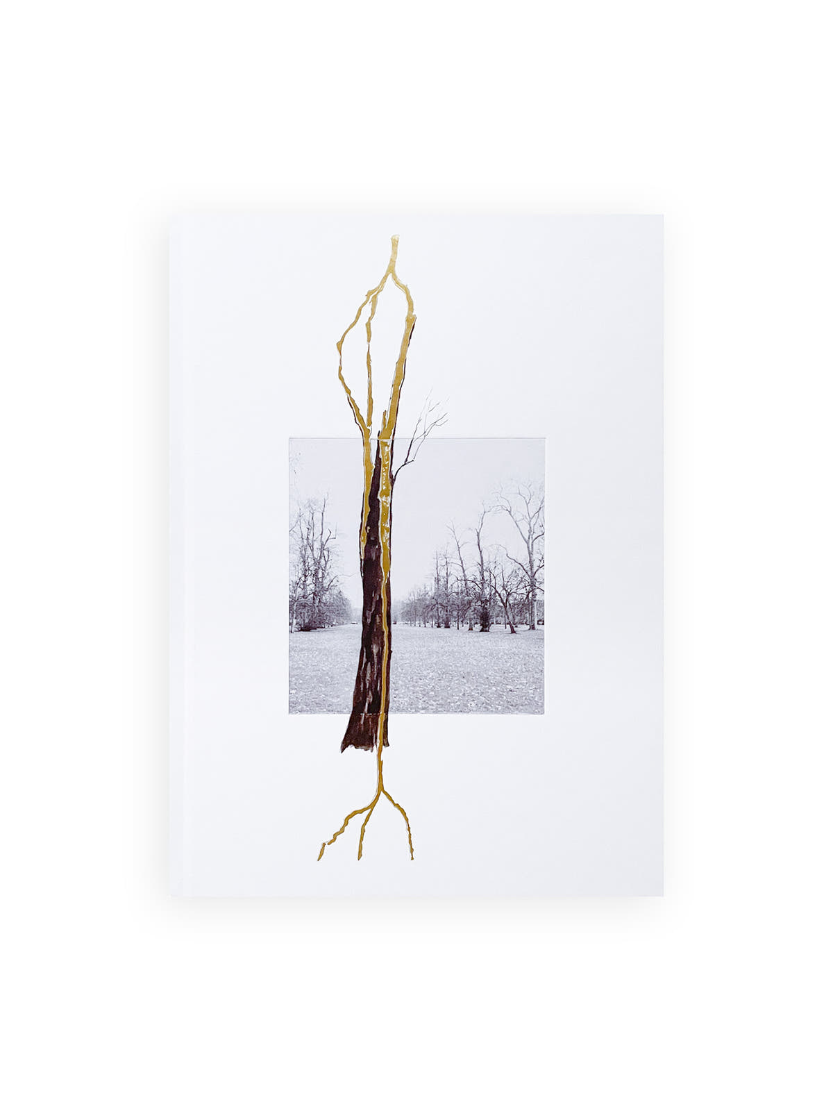 THOUGHTS IN THE ROOTS / Giuseppe Penone