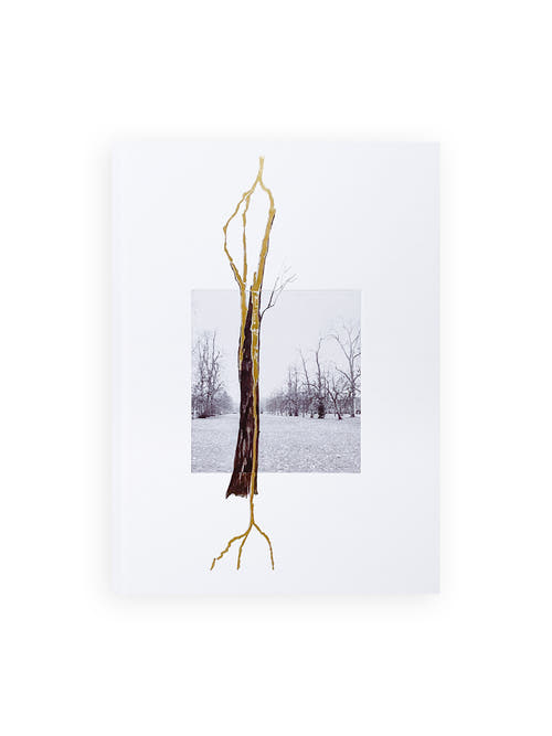 THOUGHTS IN THE ROOTS / Giuseppe Penone