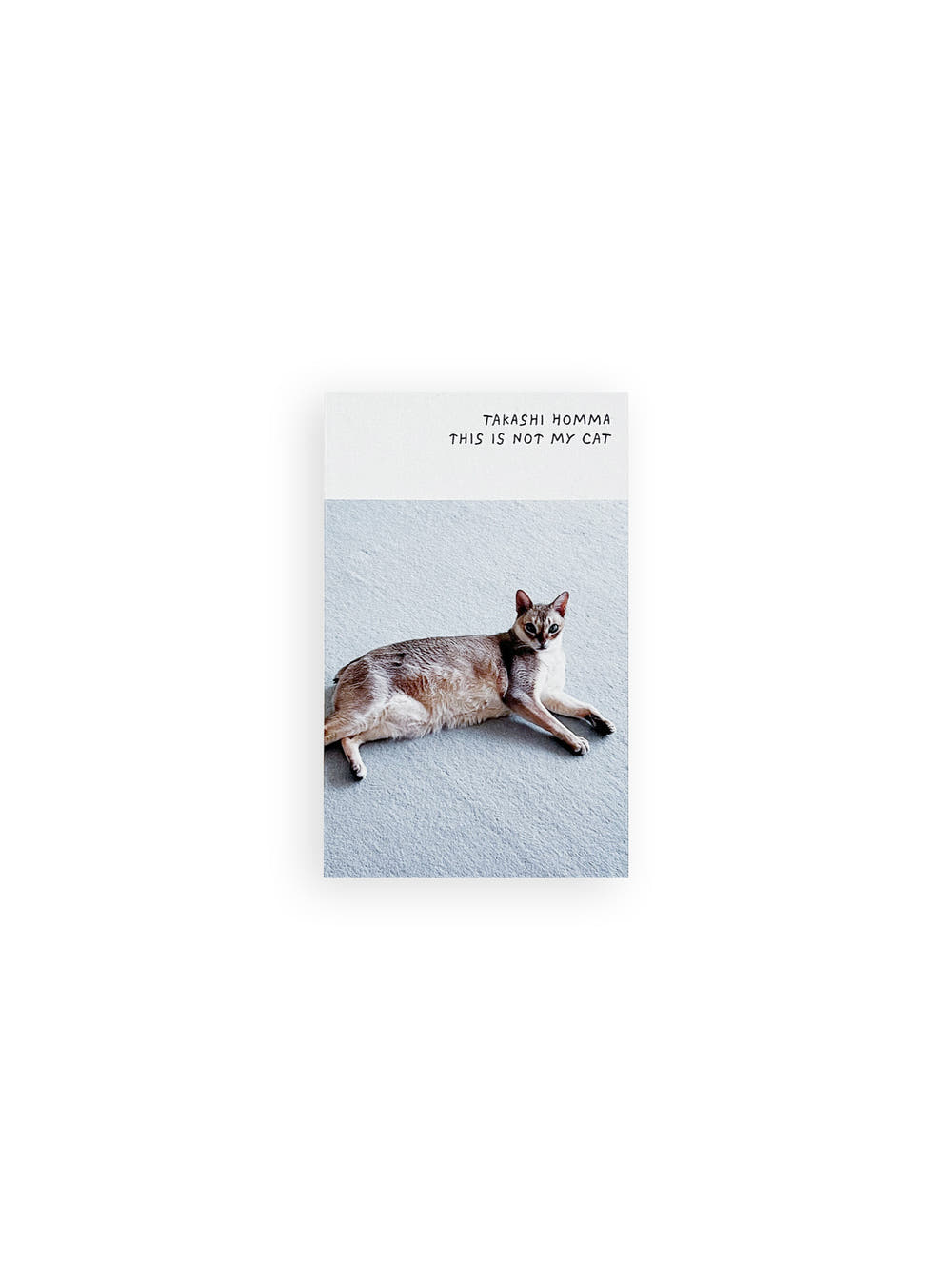 This Is Not My Cat / Takashi Homma [Signed]