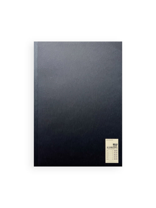 A MELTED SNOWMAN / Ryan Gander