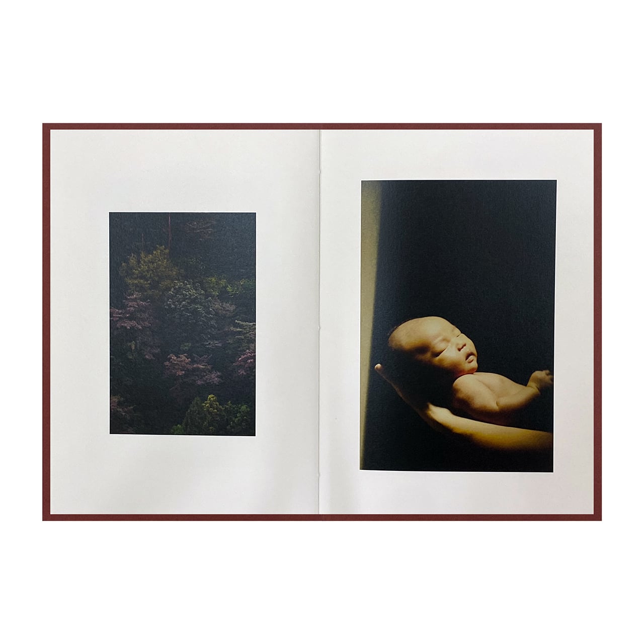 Epiphany / Shimpei Yamagami [SIGNED]
