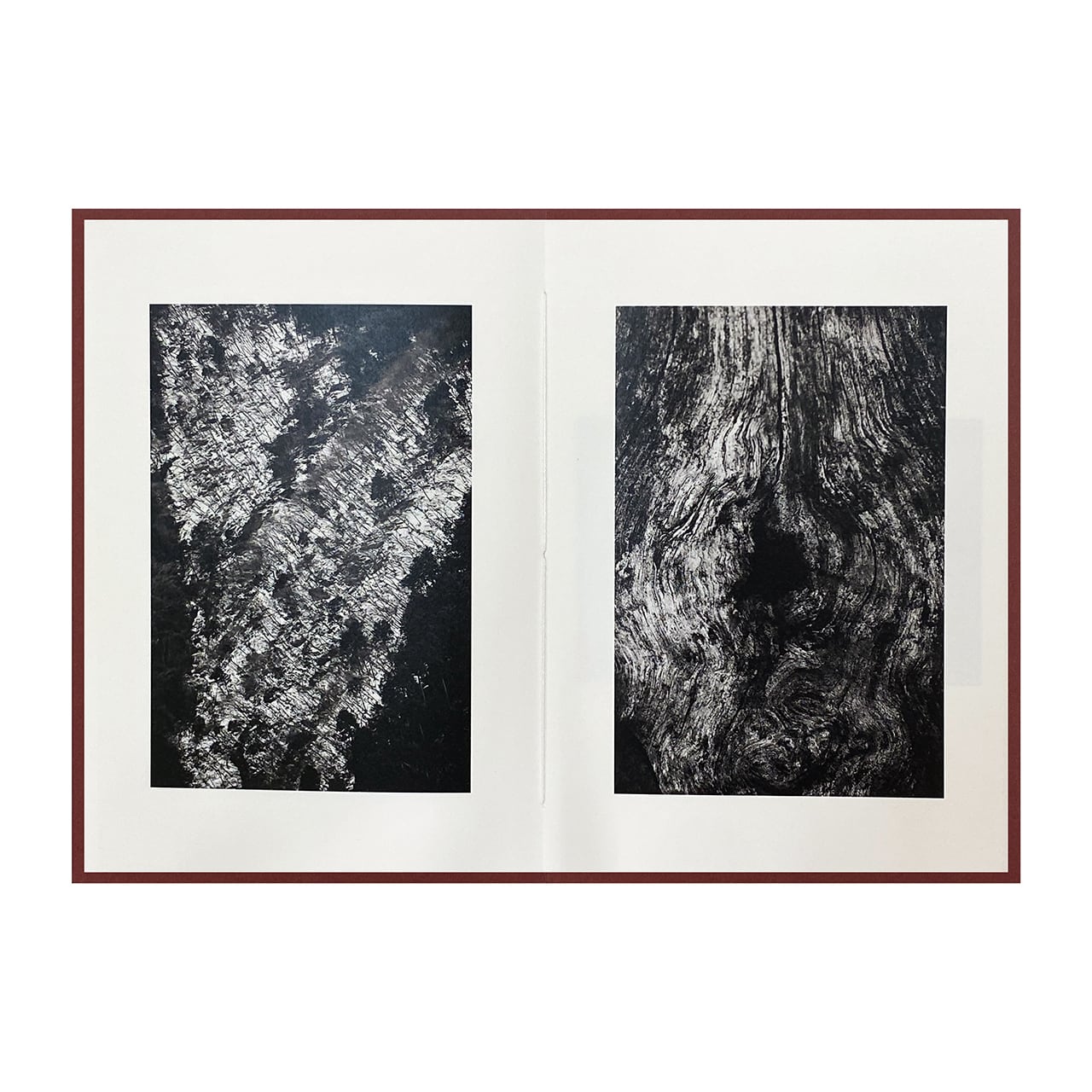 Epiphany / Shimpei Yamagami [SIGNED] - 本屋青旗 Ao-Hata Bookstore