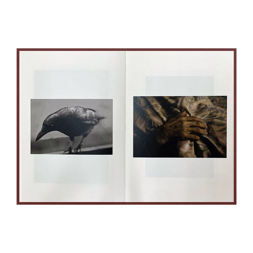 Epiphany / Shimpei Yamagami [SIGNED]