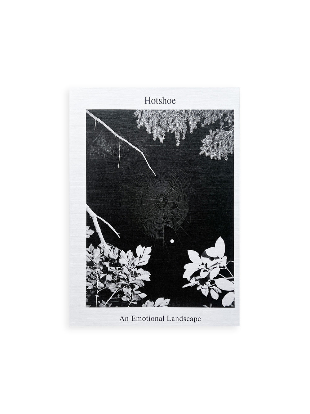Hotshoe magazine Issue 209: An Emotional Landscape