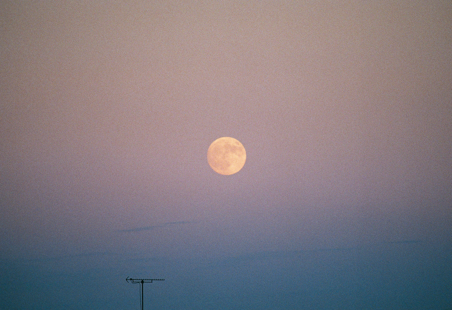 ー・・ Print D [SIGNED / FRAMED]