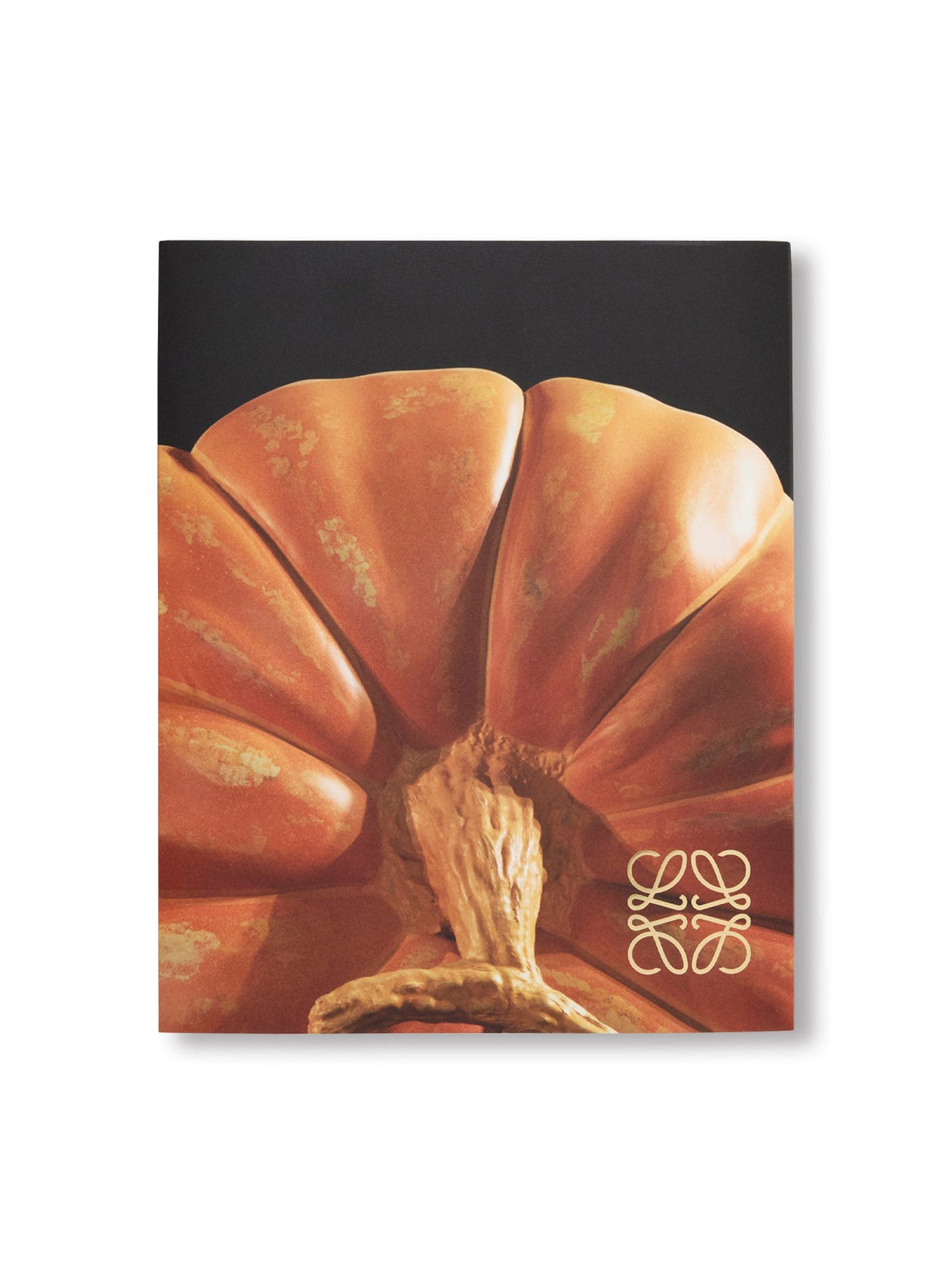 CRAFTED WORLD: JONATHAN ANDERSON'S LOEWE