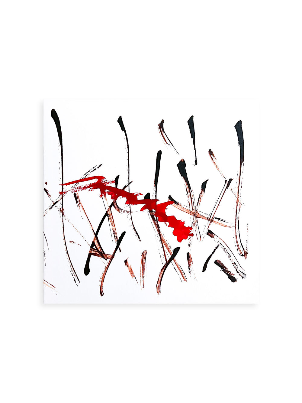 Trails / Takashi Homma