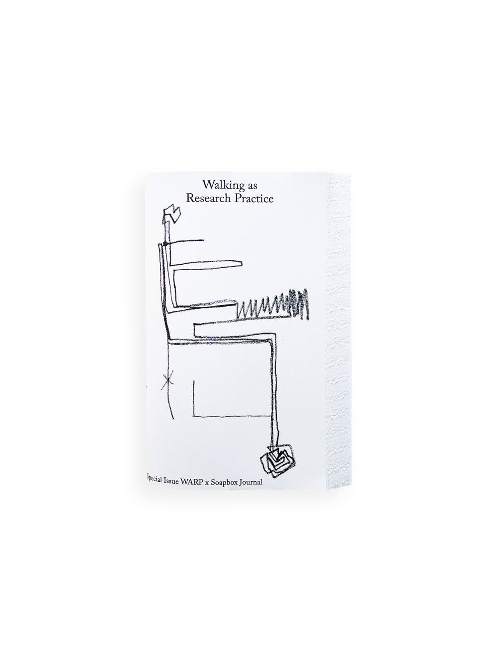 Walking as Research Practice