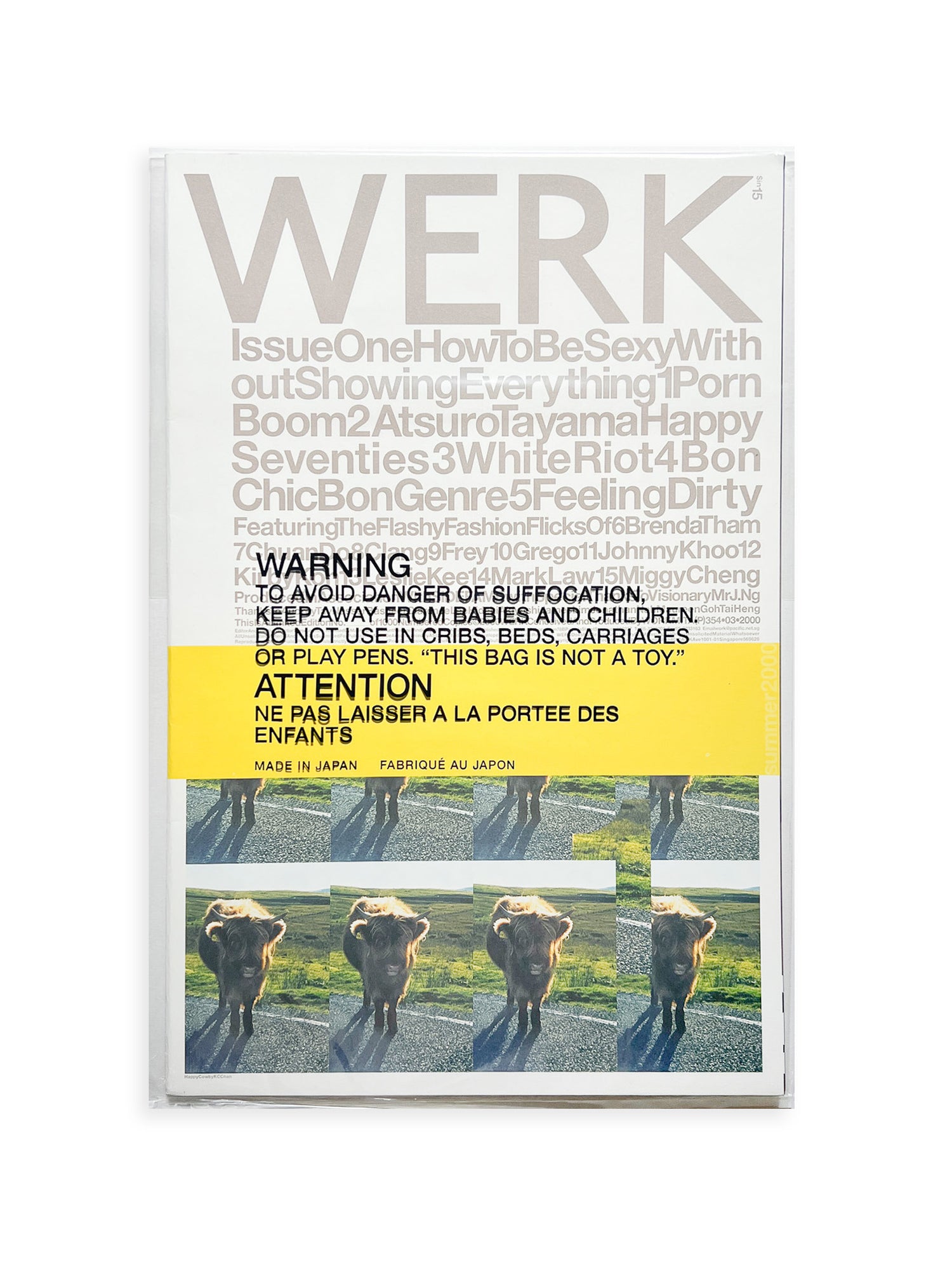 WERK No.1: How To Be Sexy Without Showing Everything (2000)